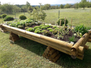 bac potager surélevé Jardinou pour jardiner debout